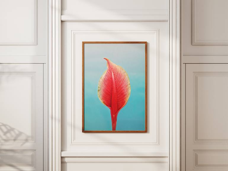 Original Expressionism Still Life Photography by Richard Gibson