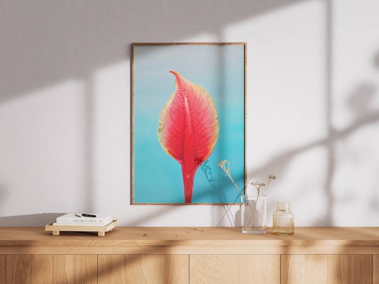 Original Expressionism Still Life Photography by Richard Gibson
