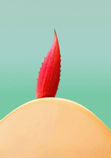 Original Expressionism Still Life Digital by Richard Gibson