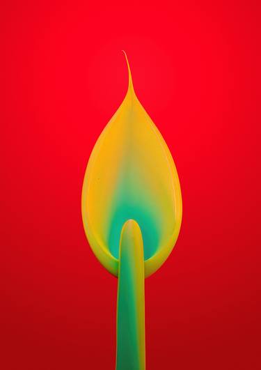 Original Expressionism Still Life Digital by Richard Gibson