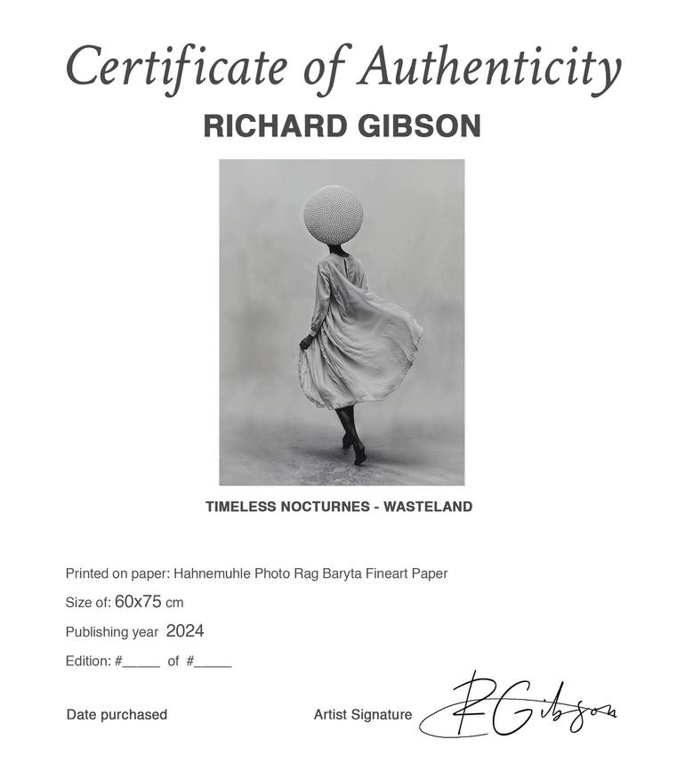 Original Minimalism Abstract Photography by Richard Gibson