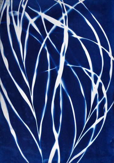 Original Abstract Botanic Photography by Kirsten Heuschen