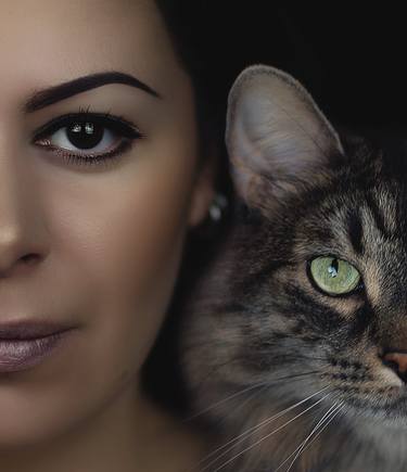 Original Conceptual Cats Photography by Maria Mik
