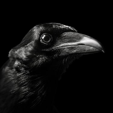 Original Artificial Intelligence Animal Photography by Viktoriia Gladkova