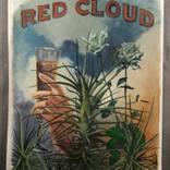 Red Cloud by Damian Kaliyeski