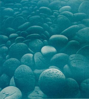 Original Figurative Nature Printmaking by Soung Hee Han
