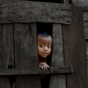 Original Art Deco Nature Photography by Quang Thái Lê