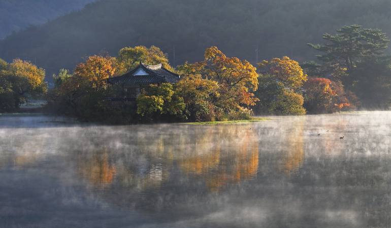 Original Nature Photography by Quang Thai Le | Art Deco Art on Canvas | Morning dew on the autumn lake - Limited Edition 1/1