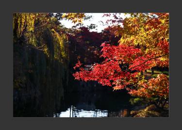 Original Art Deco Nature Photography by Quang Thái Lê