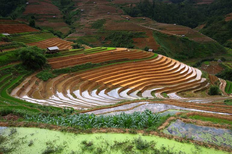 View in a Room Artwork