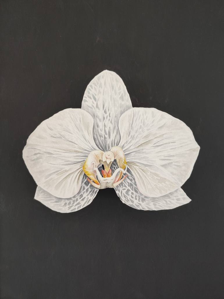 Original Botanic Painting by Oleksandra Serhiienko | Realism Art on Paper | Withered orchid on a black