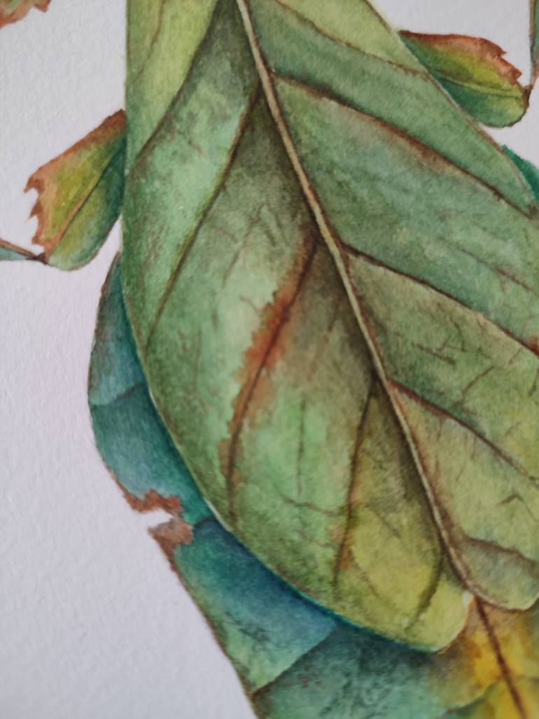 Original Realism Nature Painting by Oleksandra Serhiienko