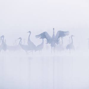 Collection Sweater Weather