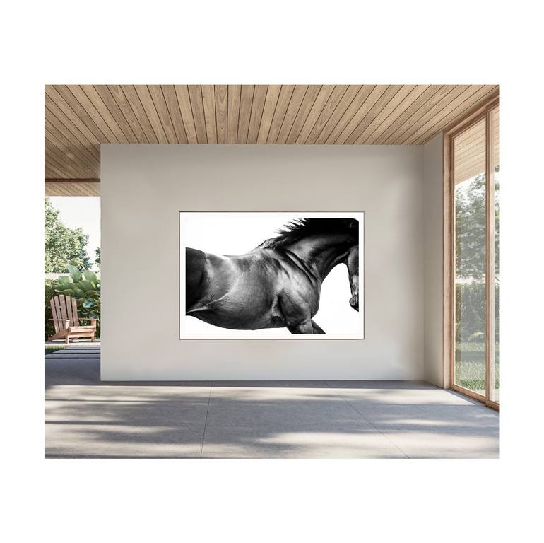 Original Abstract Horse Photography by Amrita Bilimoria
