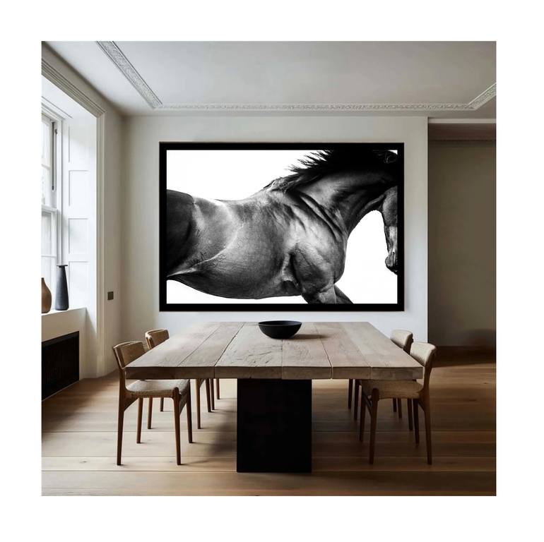 Original Abstract Horse Photography by Amrita Bilimoria