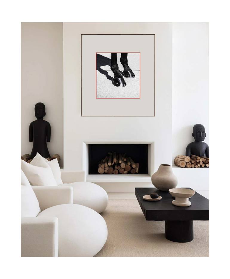 Original Contemporary Horse Photography by Amrita Bilimoria