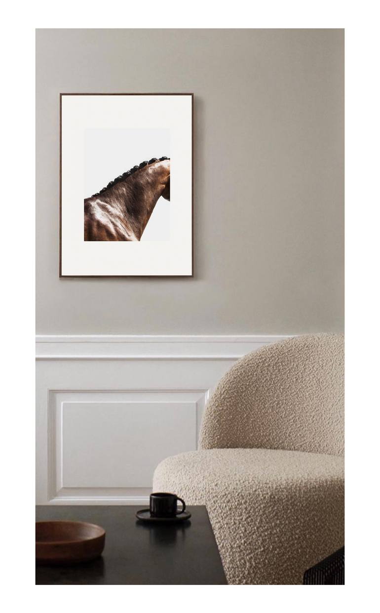 Original Abstract Horse Photography by Amrita Bilimoria