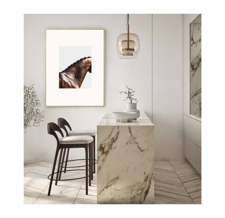 Original Abstract Horse Photography by Amrita Bilimoria