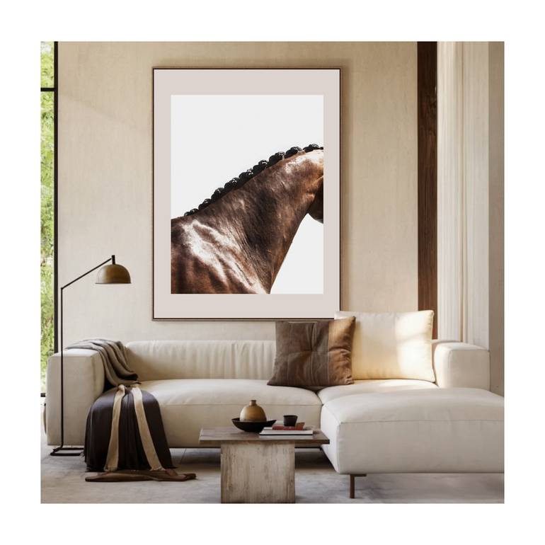 Original Abstract Horse Photography by Amrita Bilimoria