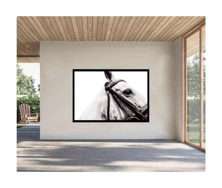 Original Abstract Horse Photography by Amrita Bilimoria