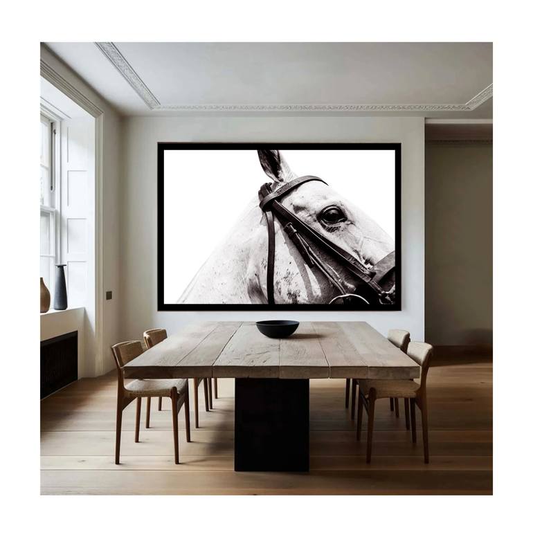 Original Abstract Horse Photography by Amrita Bilimoria