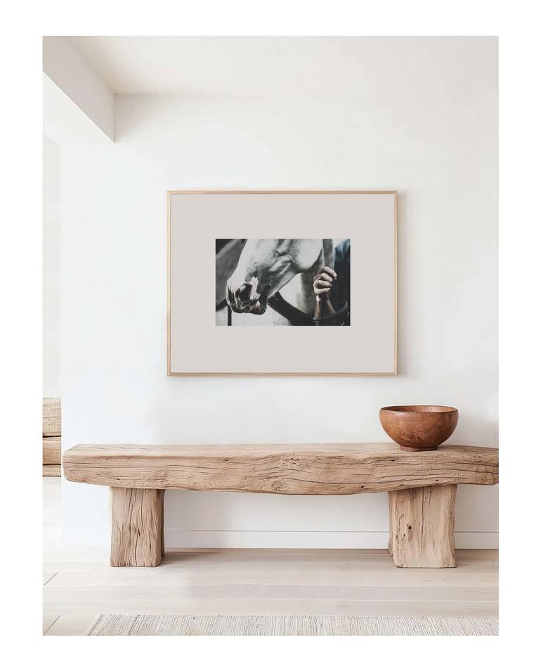 Original Contemporary Horse Photography by Amrita Bilimoria