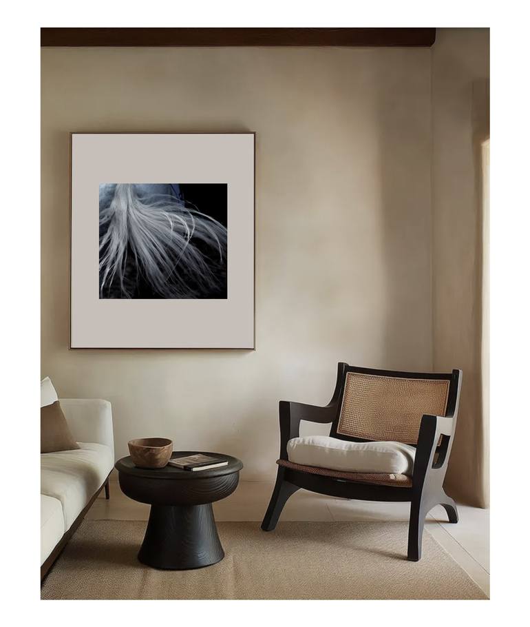 Original Abstract Horse Photography by Amrita Bilimoria