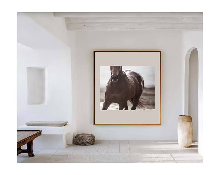 Original Contemporary Horse Photography by Amrita Bilimoria