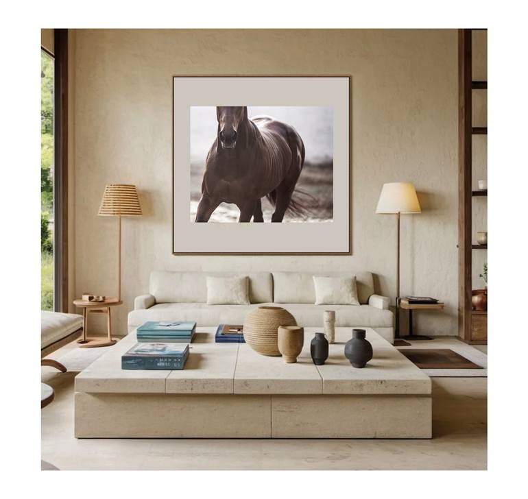 Original Contemporary Horse Photography by Amrita Bilimoria