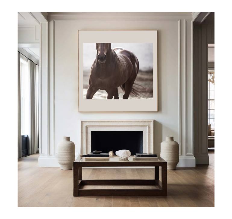 Original Contemporary Horse Photography by Amrita Bilimoria