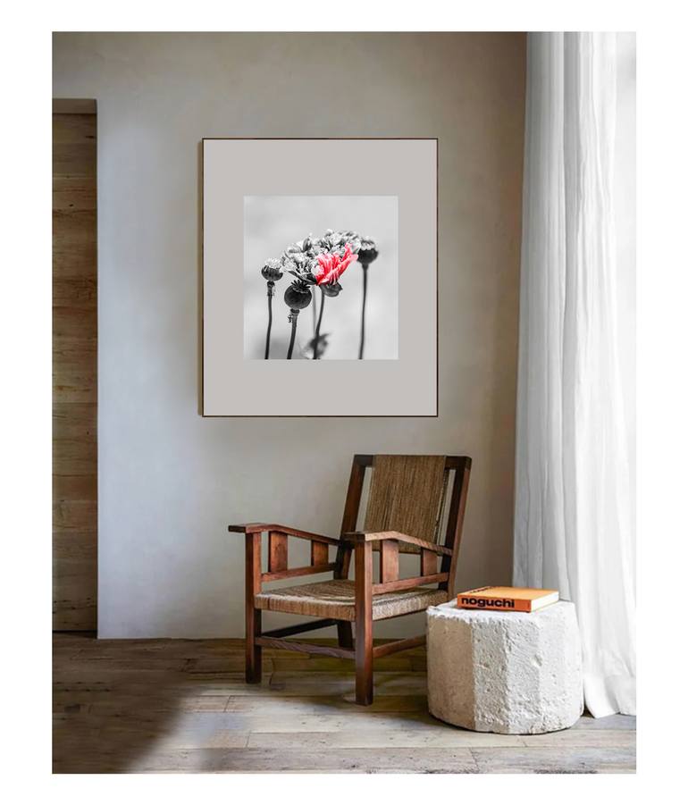Original Black & White Floral Photography by Amrita Bilimoria