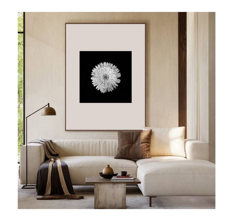 Original Black & White Floral Photography by Amrita Bilimoria
