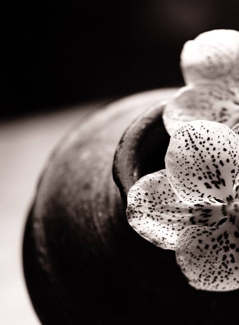 Original Contemporary Floral Photography by Amrita Bilimoria