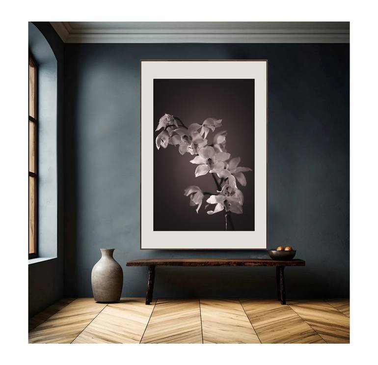 Original Black & White Floral Photography by Amrita Bilimoria
