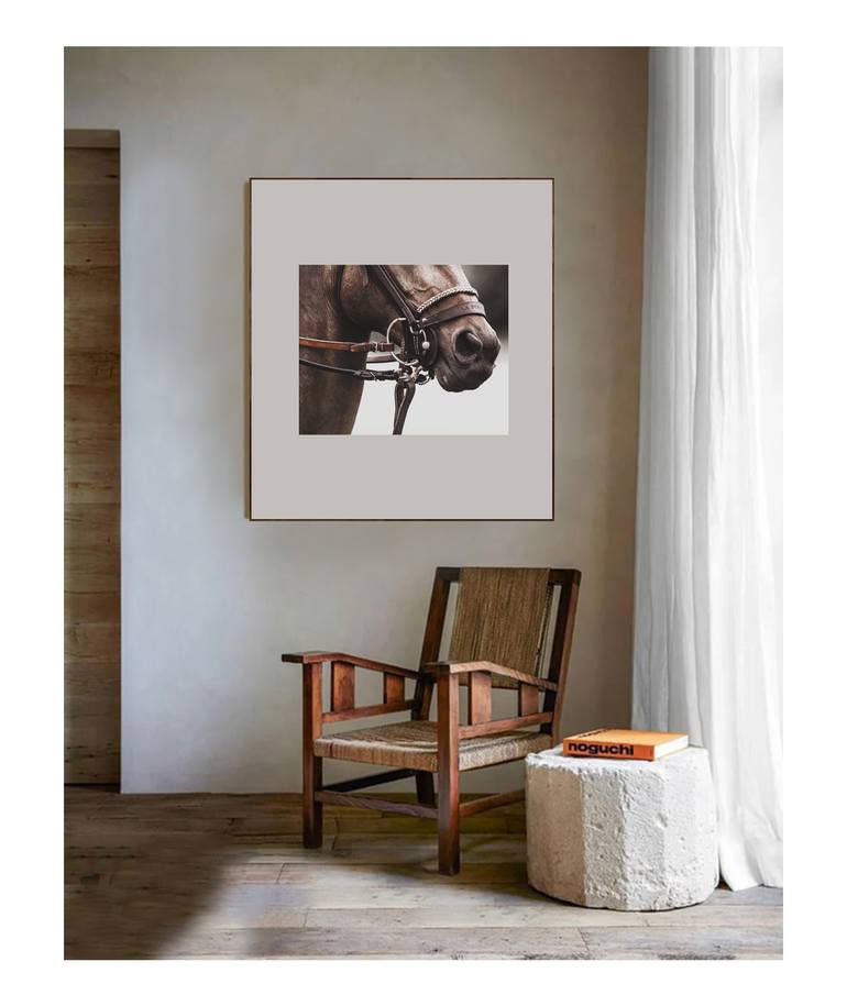 Original Contemporary Horse Photography by Amrita Bilimoria