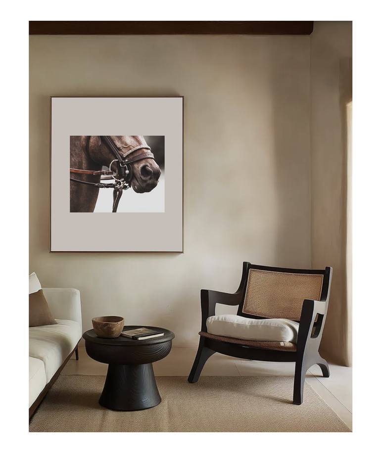 Original Contemporary Horse Photography by Amrita Bilimoria
