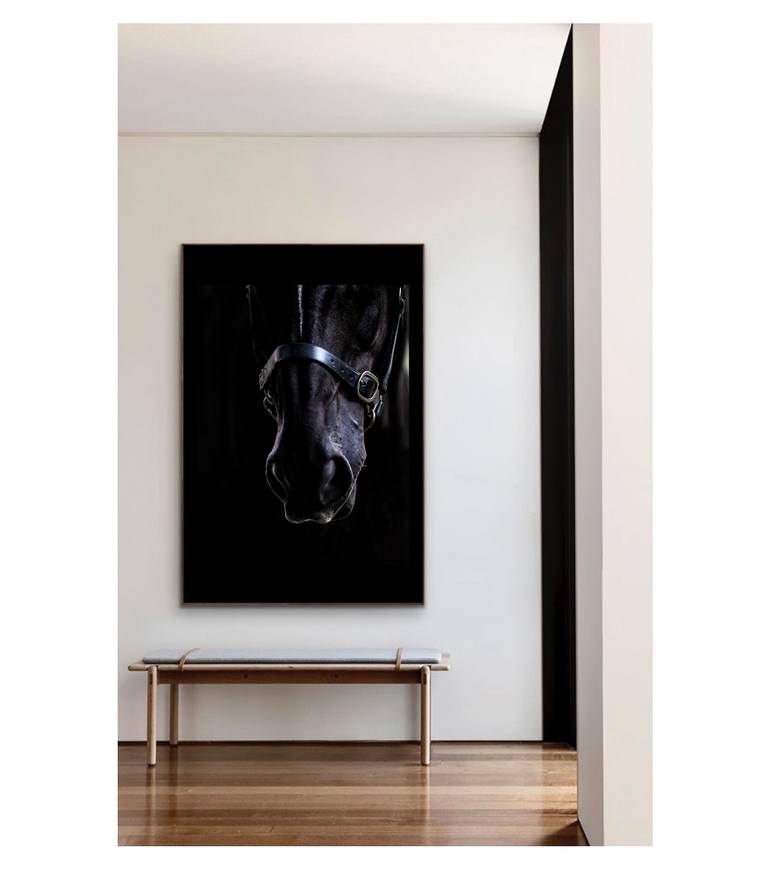 Original Contemporary Horse Photography by Amrita Bilimoria