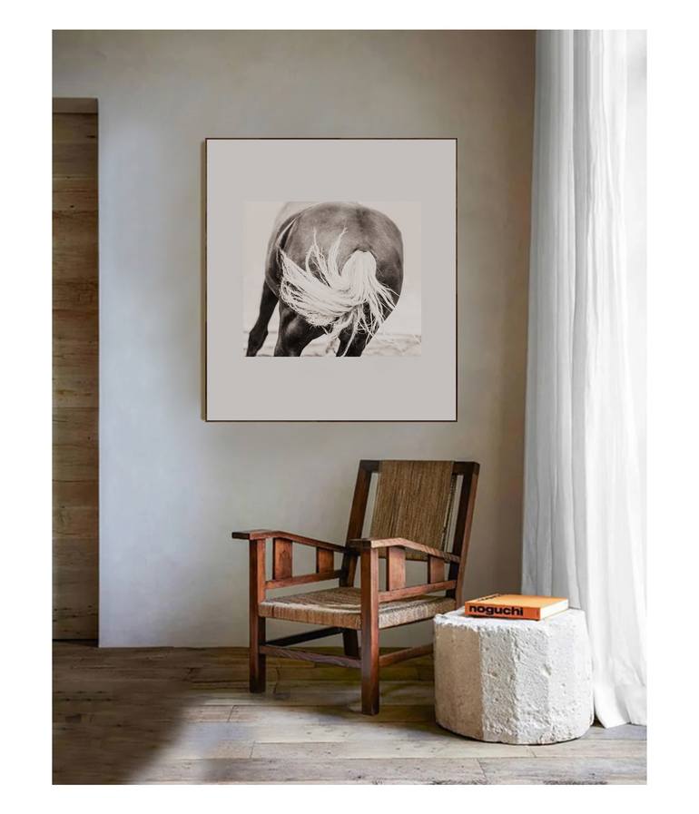 Original Contemporary Horse Photography by Amrita Bilimoria