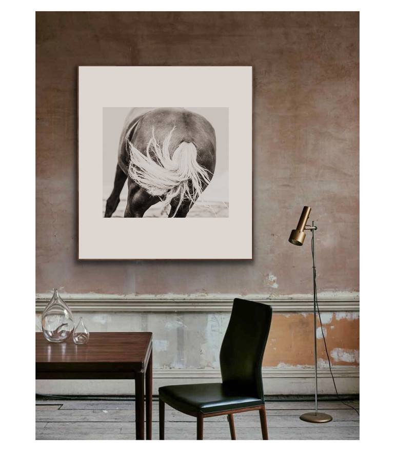 Original Contemporary Horse Photography by Amrita Bilimoria