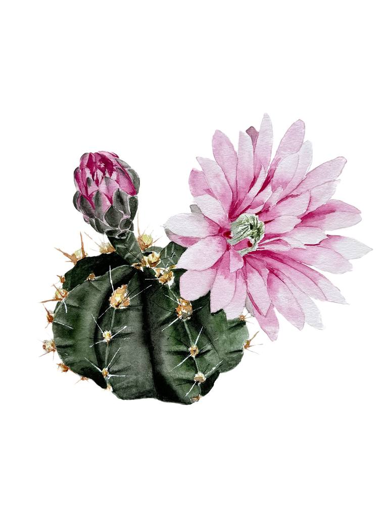 Original Illustration Botanic Paintings by Viktoriia Kovalenko