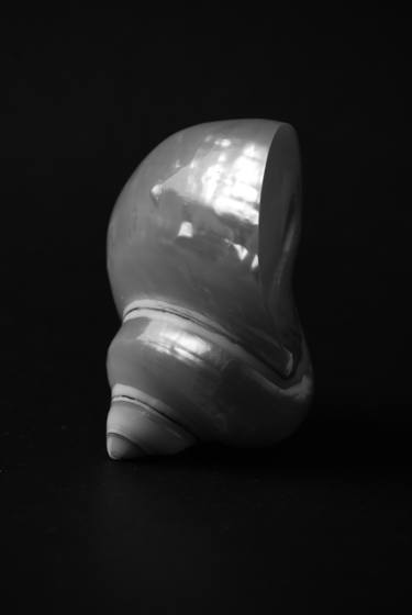 Pearl Jade Turbo Seashell thumb