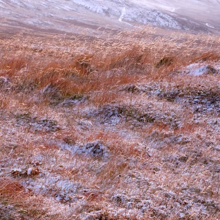 Original Abstract Landscape Photography by Kathryn Allen Hurni