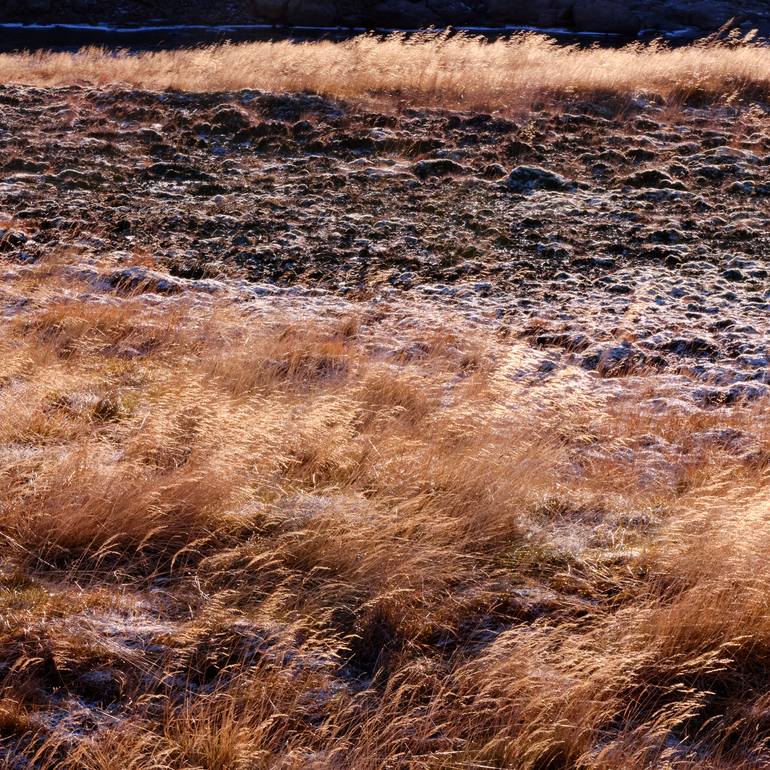 Original Abstract Landscape Photography by Kathryn Allen Hurni