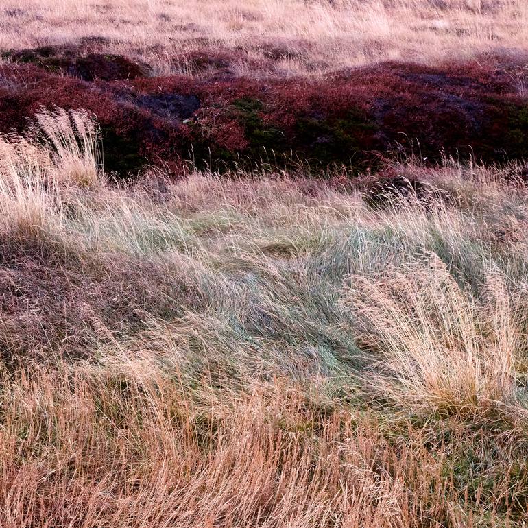 Original Abstract Landscape Photography by Kathryn Allen Hurni