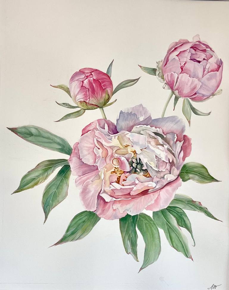 Original Botanic Painting by Liudmila Tretyakova  Illustration Art on Paper  Large Original Watercolor Peony Painting