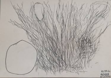 Original Abstract Expressionism Botanic Drawings by Irina Georgiana Miu