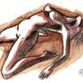 view additional image 1