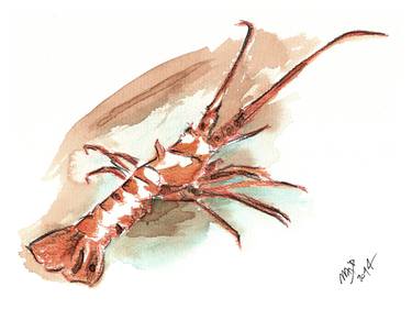 Lobster (Aragosta1_1_Z1) thumb