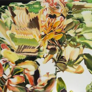 Collection Best of November