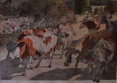 Original Realism Animal Paintings by Margaret Steel